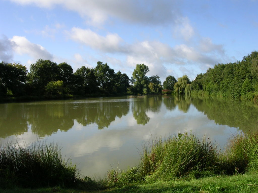 plan d'eau sain