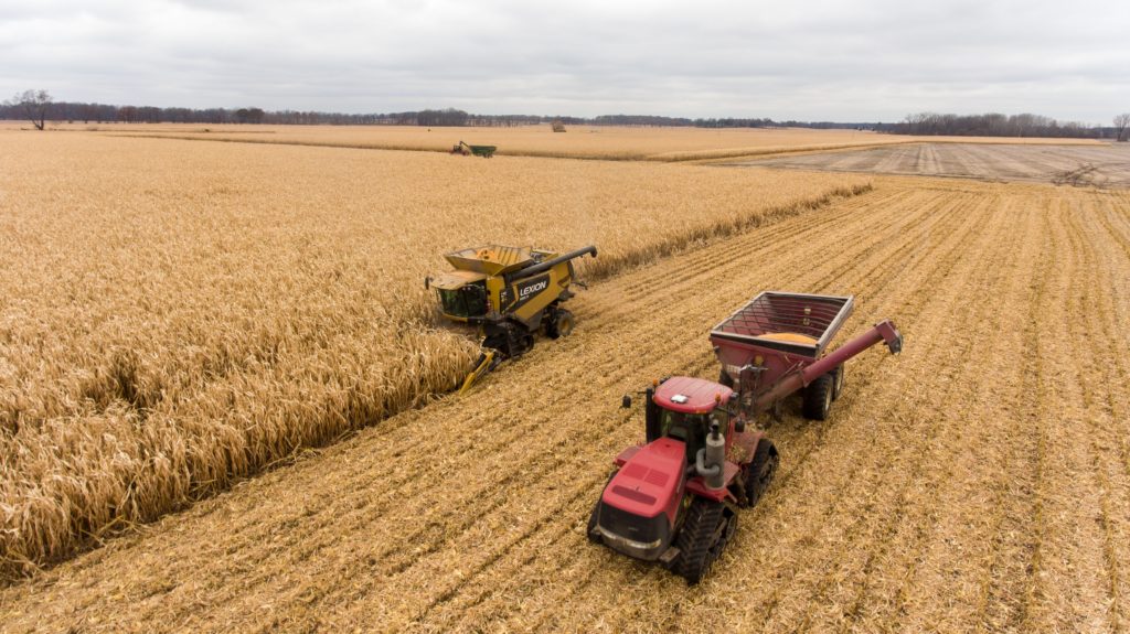 Ensilage du blé pour gagner en autonomie