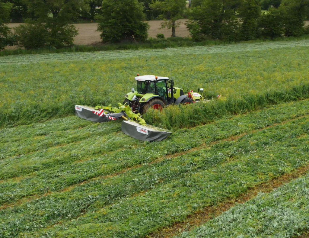 Fauche du méteils pour nourrir le bétail