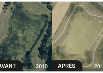 Étang de parc (Mayenne)